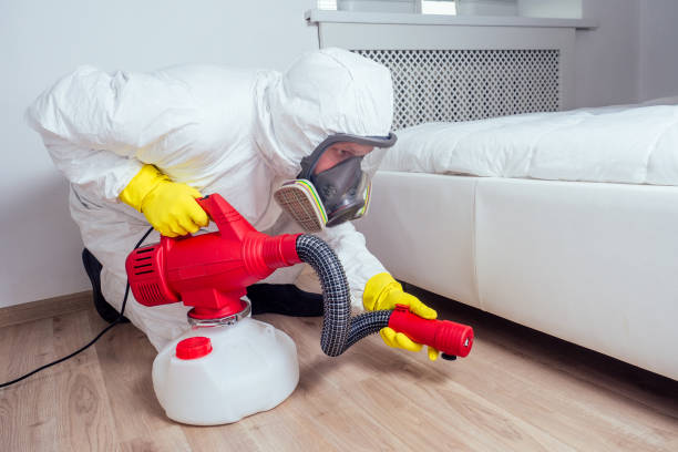 Reliable Cornelius, NC Pest Control Solutions
