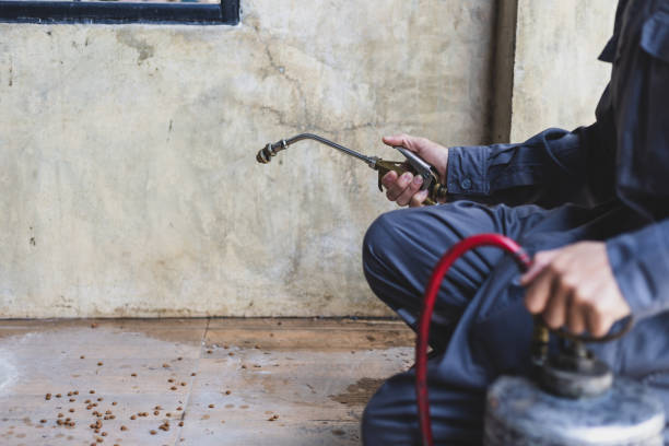 Best Pest Control for Homes  in Cornelius, NC